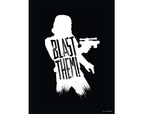 Poster Star Wars Silhouette Quotes Stormtrooper 50x70 cm