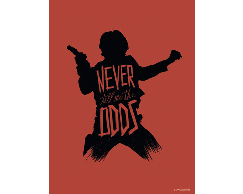 Poster Star Wars Silhouette Quotes Han Solo 30x40 cm