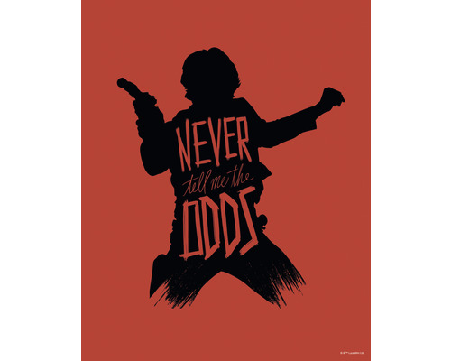 Poster Star Wars Silhouette Quotes Han Solo 40x50 cm