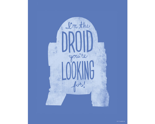 Poster Star Wars Silhouette Quotes R2D2 30x40 cm