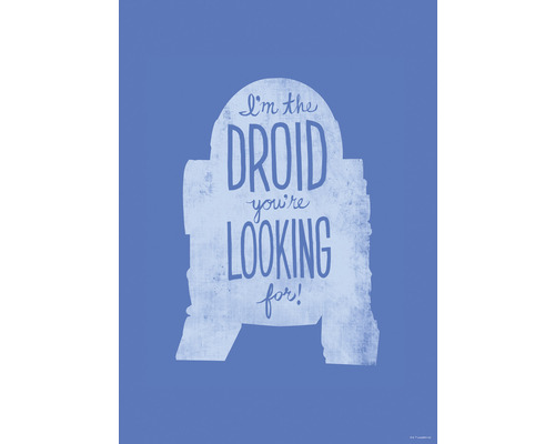 Poster Star Wars Silhouette Quotes R2D2 40x50 cm