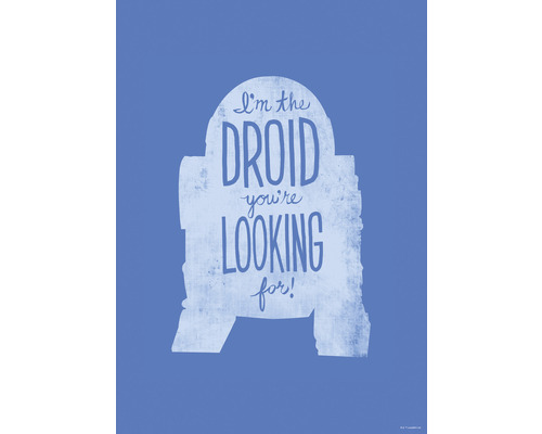 Poster Star Wars Silhouette Quotes R2D2 50x70 cm