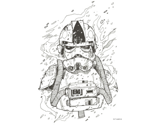 Poster Star Wars Pilot Drawing 40x50 cm