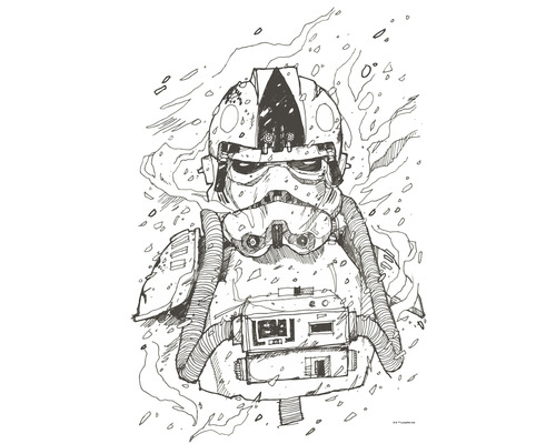 Poster Star Wars Pilot Drawing 50x70 cm