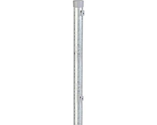 Piquet pour clôture en treillis 175 cm, Ø 4.2, acier brut, galvanisé à chaud Tube métallique avec supports pour montage mural