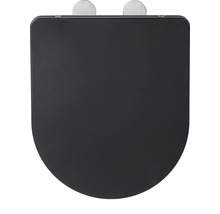 Abattant WC en acrylique sanitaire
