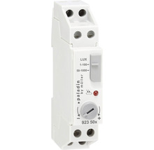 Paladin Lichtschalter für den Innenbereich