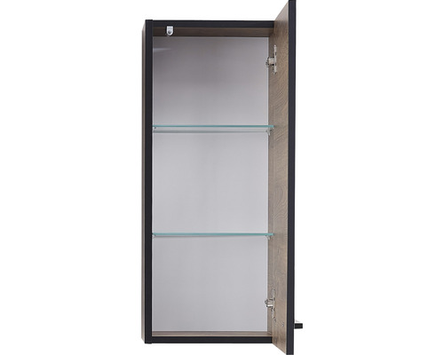 Geöffneter Spiegelschrank mit zwei Glasböden