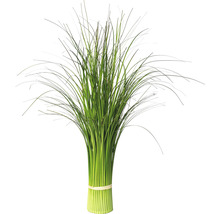 Paquet d''herbes ornementales pour la décoration