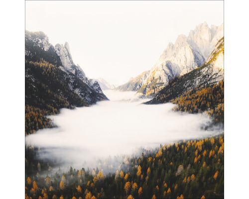 Glasbild Foggy Mountain Forest II 30x30 cm