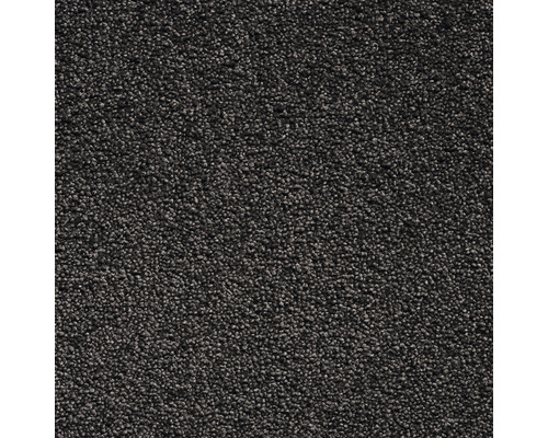 Moquette bouclée velours frisé Percy anthracite FB79 largeur 400 cm (au mètre)