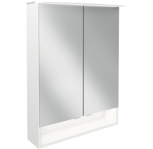 Armoire de toilette avec deux portes et étagère