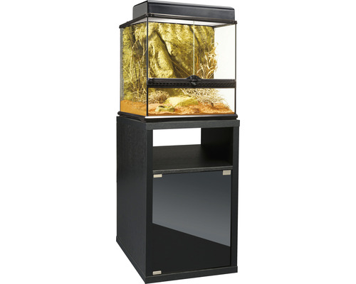 Ensemble terrarium EXO TERRA avec Compact-Top, meuble bas 45 x 45 x 125,5 cm noir