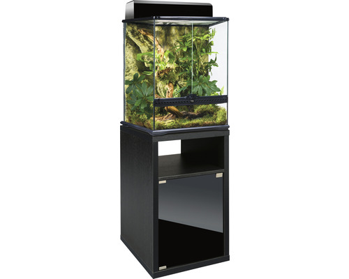 Ensemble terrarium EXO TERRA avec Compact-Top, meuble bas 45 x 45 x 140,5 cm noir