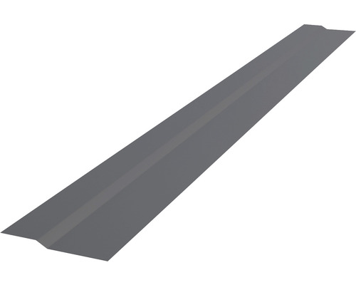 Profilé plat PRECIT pour bandes à clipser trapèze gris anthracite RAL 7016 2000x90x10 mm