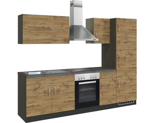 Cuisine complète avec évier, plaque de cuisson, four, hotte et armoires