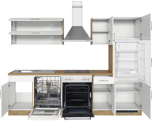 Cuisine intégrée avec évier, lave-vaisselle, cuisinière, four, réfrigérateur et hotte aspirante