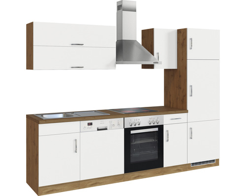 Cuisine équipée avec évier, lave-vaisselle, four, plaque de cuisson, hotte aspirante et armoires