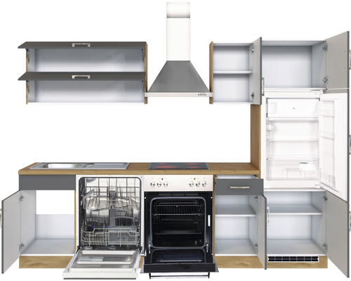 Cuisine équipée avec évier, lave-vaisselle, cuisinière, hotte aspirante, réfrigérateur et placards