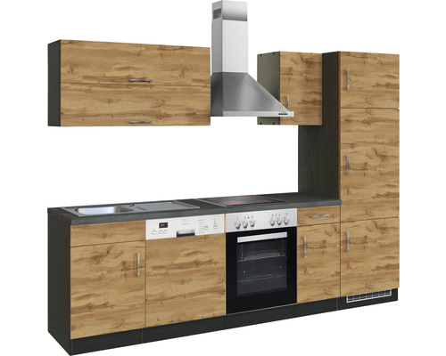 Cuisine complète avec éléments hauts, évier, cuisinière, four, lave-vaisselle et hotte aspirante