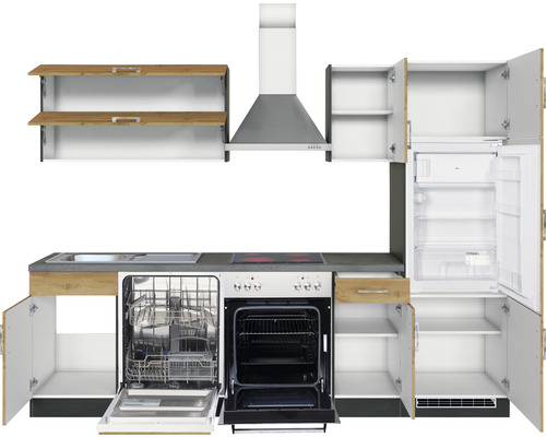 Cuisine moderne avec évier, lave-vaisselle, cuisinière, four, hotte et réfrigérateur