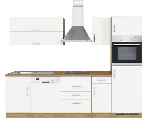 Cuisine avec évier, lave-vaisselle, plaque de cuisson, hotte et four