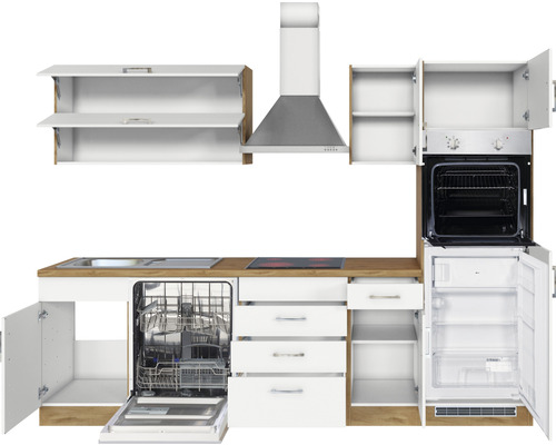 Cuisine équipée avec évier, plaque de cuisson, lave-vaisselle, four, réfrigérateur et hotte aspirante