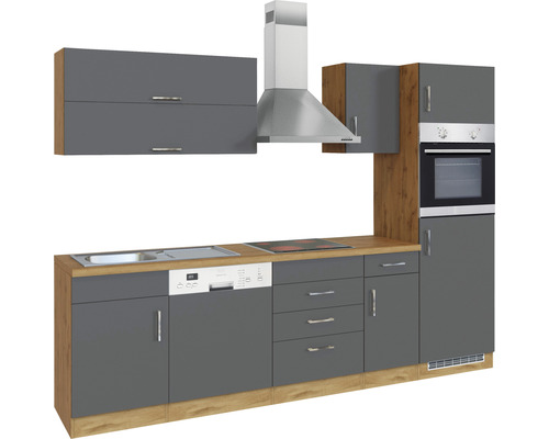 Cuisine complète avec évier, lave-vaisselle, plaque de cuisson, hotte et four.