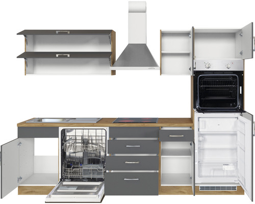 Cuisine équipée avec évier, lave-vaisselle, cuisinière, four, réfrigérateur et hotte aspirante