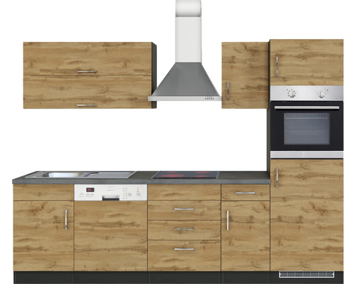 Cuisine équipée avec évier, lave-vaisselle, plaque de cuisson, hotte aspirante et four