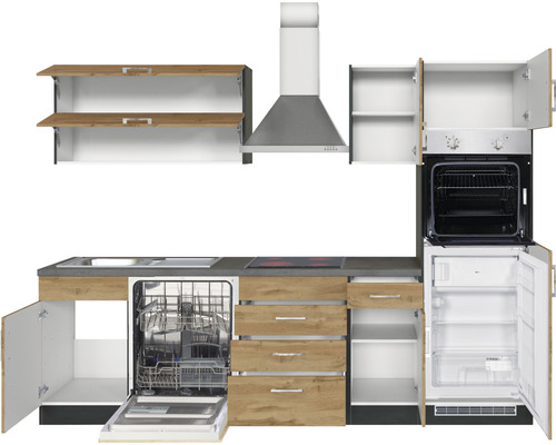 Cuisine équipée avec évier, lave-vaisselle, cuisinière, four, hotte aspirante et réfrigérateur.