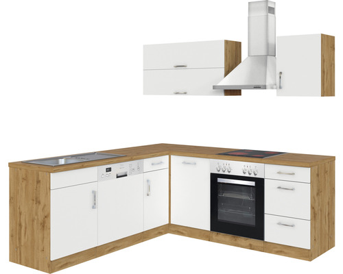 Cuisine équipée avec évier, lave-vaisselle, cuisinière, four et hotte aspirante