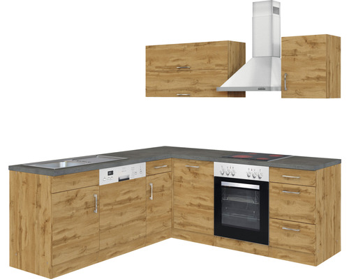 Cuisine équipée avec évier, lave-vaisselle, cuisinière, four, hotte aspirante et éléments hauts