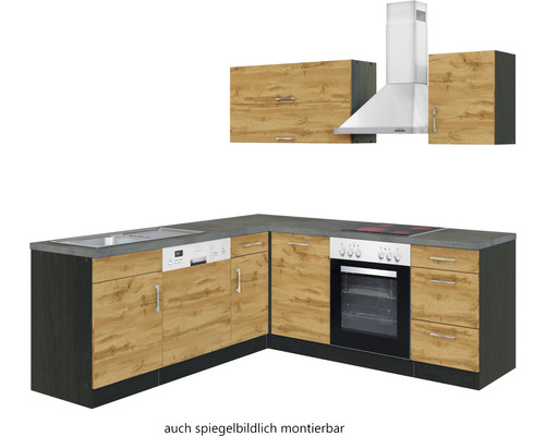 Cuisine complète avec appareils électriques, évier, lave-vaisselle, plaque de cuisson, four et hotte aspirante