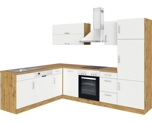 Cuisine intégrée complète avec évier, lave-vaisselle, four, plaque de cuisson et hotte aspirante