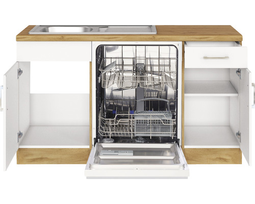 Cuisine équipée avec évier, lave-vaisselle et armoire