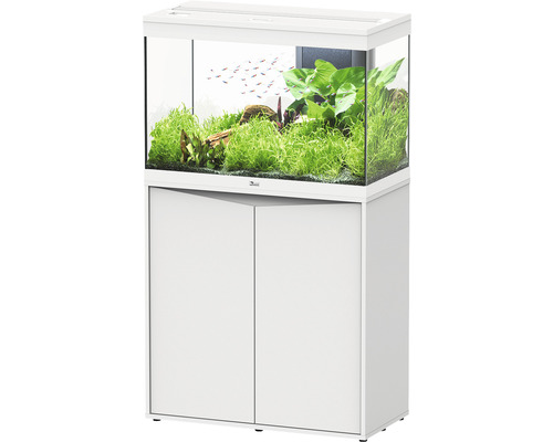 Aquariumkombination aquatlantis Splendid 145 inkl. LED-Beleuchtung, Filter, Unterschrank weiss