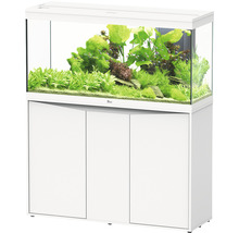 Combinaison aquarium avec meuble bas et plantation