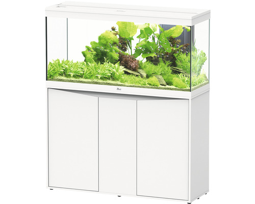 Kit complet d'aquarium aquatlantis Splendid 240 y compris éclairage LED, filtre, meuble bas blanc