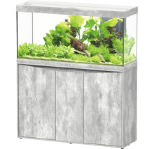 Aquarium mit Unterschrank und Pflanzen