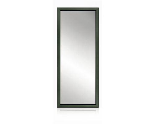 Cadre miroir Cordia Siena Line 60x150 cm vert