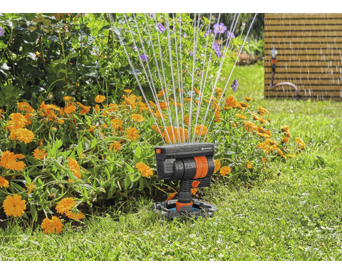 Scène de jardin avec arroseur de gazon en action pour irriguer les fleurs