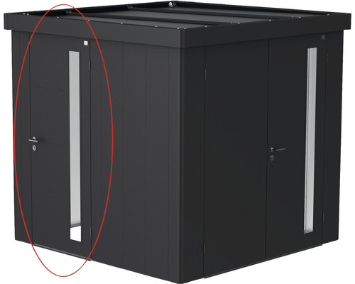 Porte supplémentaire biohort pour abri de jardin Neo gris foncé métallique Abri de jardin en métal avec porte et fenêtre