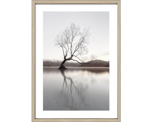 Gerahmtes Bild Tree in a lake II 54x74 cm