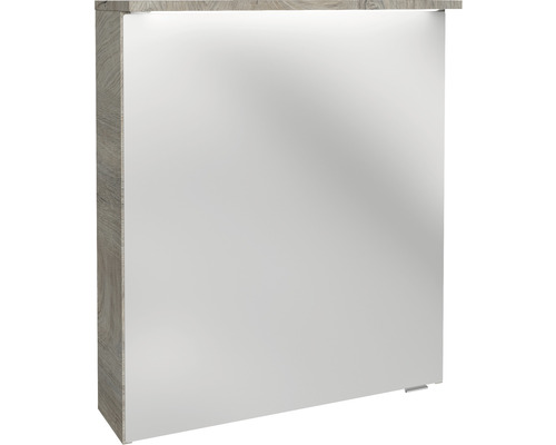 Fackelmann LED-Spiegelschrank Oxford BxHxT 60.2 x 69.6 x 20 cm nature oak Spiegelschrank mit Beleuchtung und Holzdekor