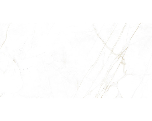 Carrelage sol et mur en grès cérame fin Dual blanc natural 60x120 cm