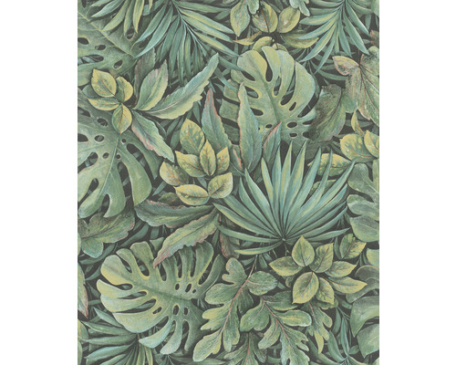 Papier peint intissé 33304 Botanica feuilles vert Papier peint avec motifs de jungle et différentes feuilles tropicales