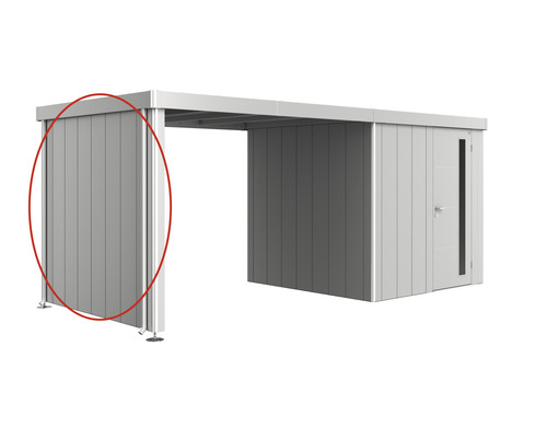 Paroi latérale toit latéral biohort pour abri de jardin Neo 2A/2B/2C/2D argent Élément de toit de terrasse en aluminium