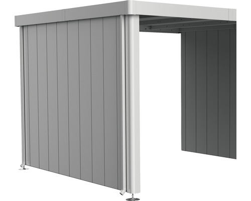 Paroi latérale toit latéral biohort pour abri de jardin Neo 3A/3B/3C/3D argent Aire de stationnement couverte en aluminium avec paroi à lamelles