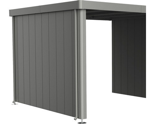 Paroi latérale toit latéral biohort pour abri de jardin Neo 3A/3B/3C/3D gris quartz Terrasse couverte avec éléments muraux verticaux
